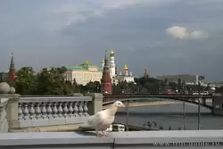 Патриарший мост, белые голуби у Храма Христа Спасителя