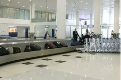 Выдача багажа