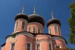 Купола Большого собора в Донском монастыре