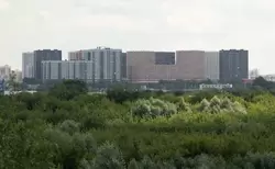Вид со смотровой площадки в Коломенском