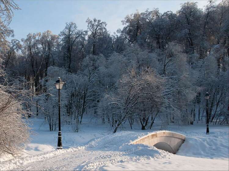 Усадьба Царицыно зима