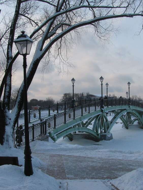 Царицыно музей заповедник каток