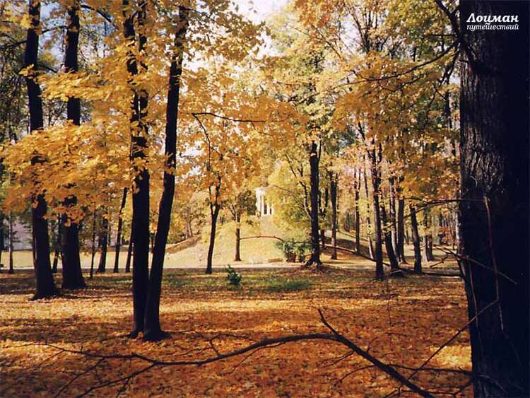 Осенняя фотосессия в Останкинском парке