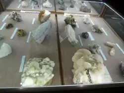 Геологический музей Вернадского, фото 21