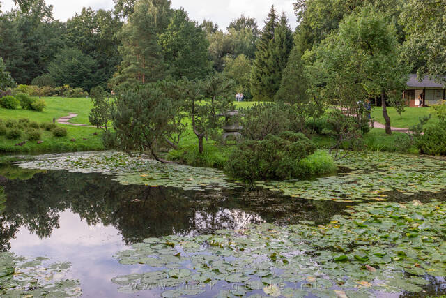 Ботанический сад в Москве, Японский сад
