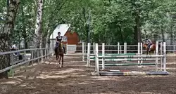 Нескучный сад в Москве, Центр развития детского конного спорта