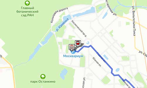 В «Москвариуме» на ВДНХ состоялась весенняя премьера водного шоу «Морская симфония» | МосКультУРА